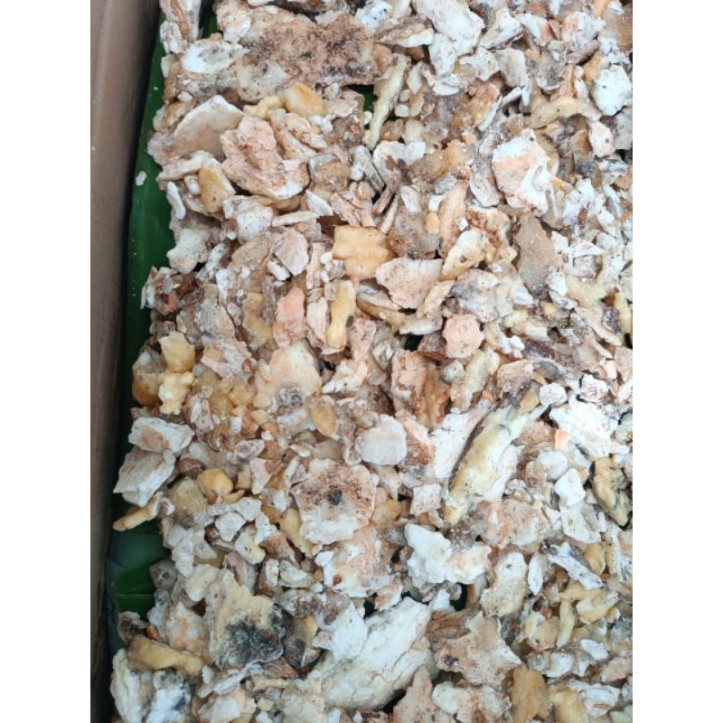 Kemenyan Tapanuli Premium Grade A 50 gr Kemenyan Super Kemenyan Premium Kemenyan Putih