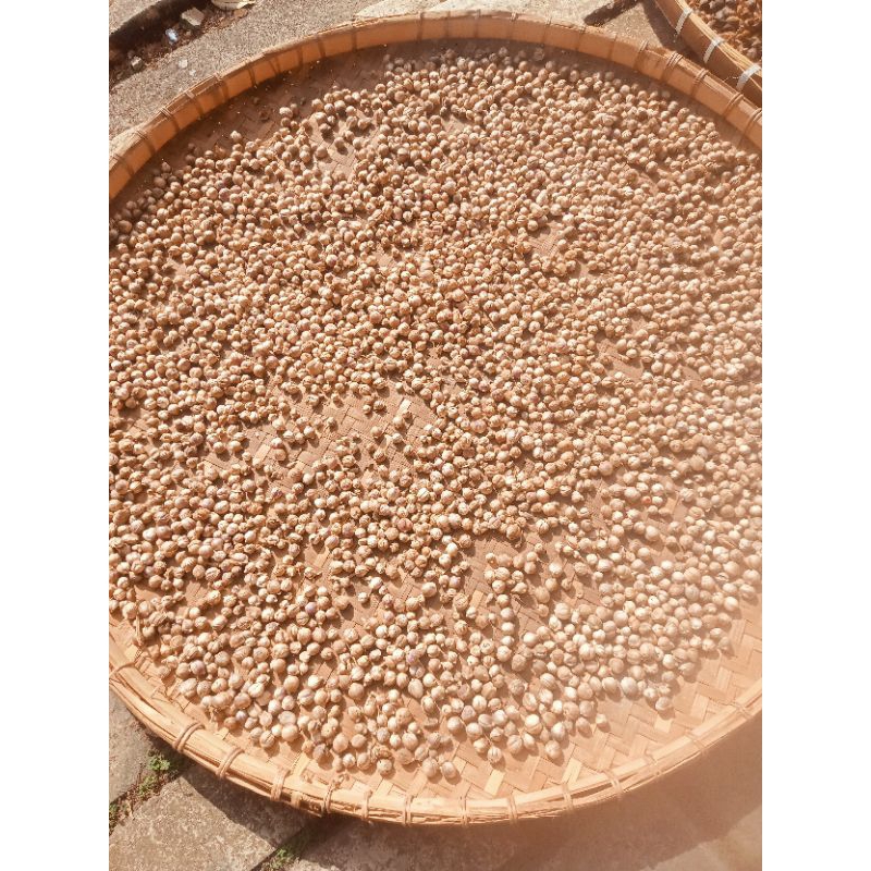 

Kapulaga kering 100 gram