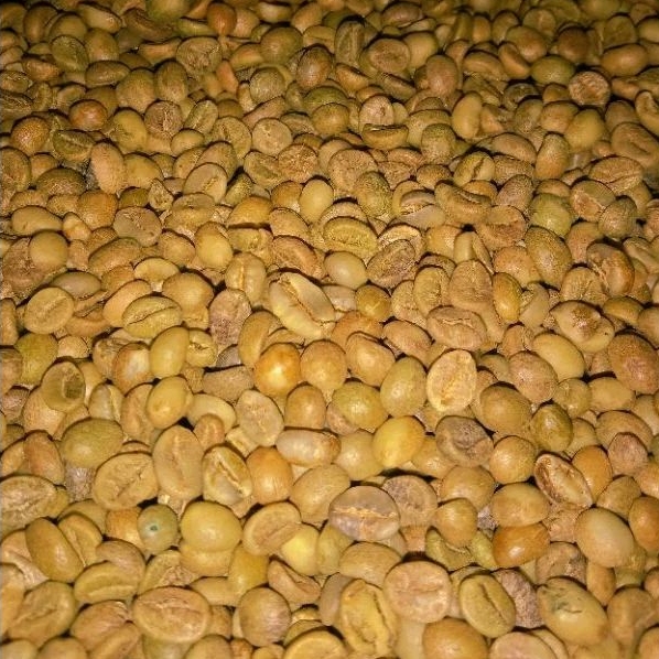 

Robusta Asalan Komersil Green Bean 1kg GRADE 3