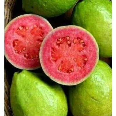 

Jambu (Merah/kristal)