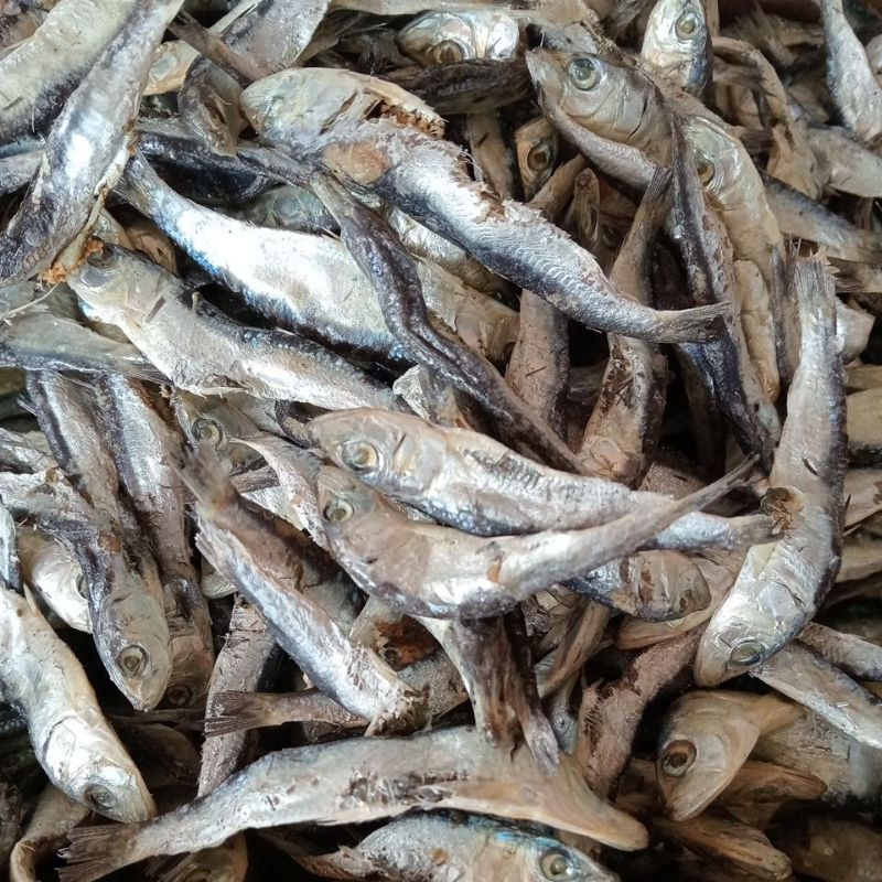 

ikan asin murah termurah ikan teri lemet