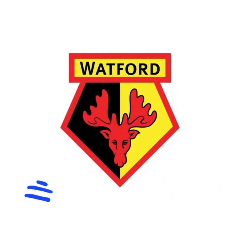 JERSEY WATFORD (BARU)