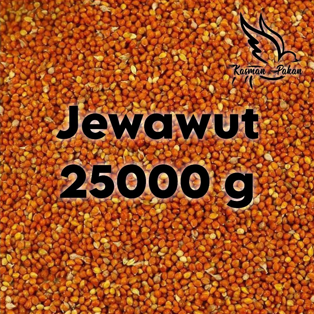 Jewawut Pakan Kenari Ternak Harian