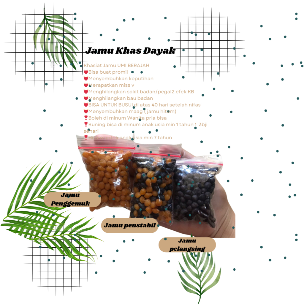 

Jamu Dayak Umi Syarifah