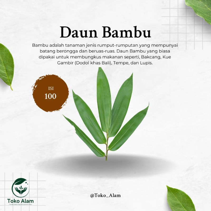

Daun Bambu 100 Lembar