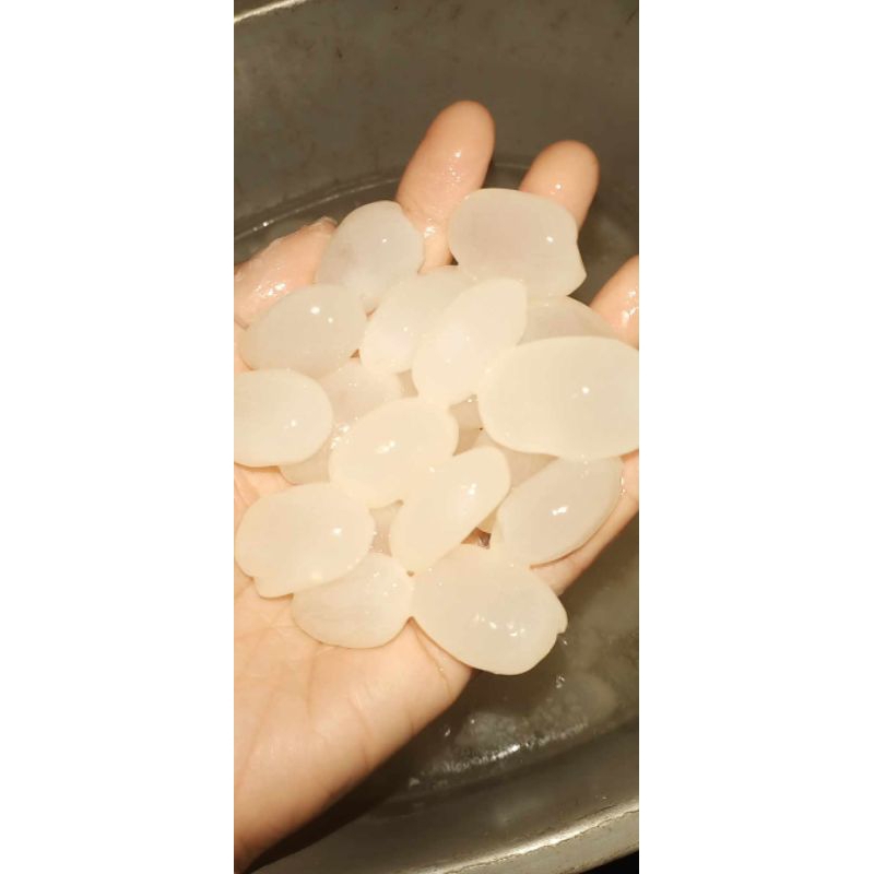 

Kolang Kaling segar langsung dari petani per 1kg