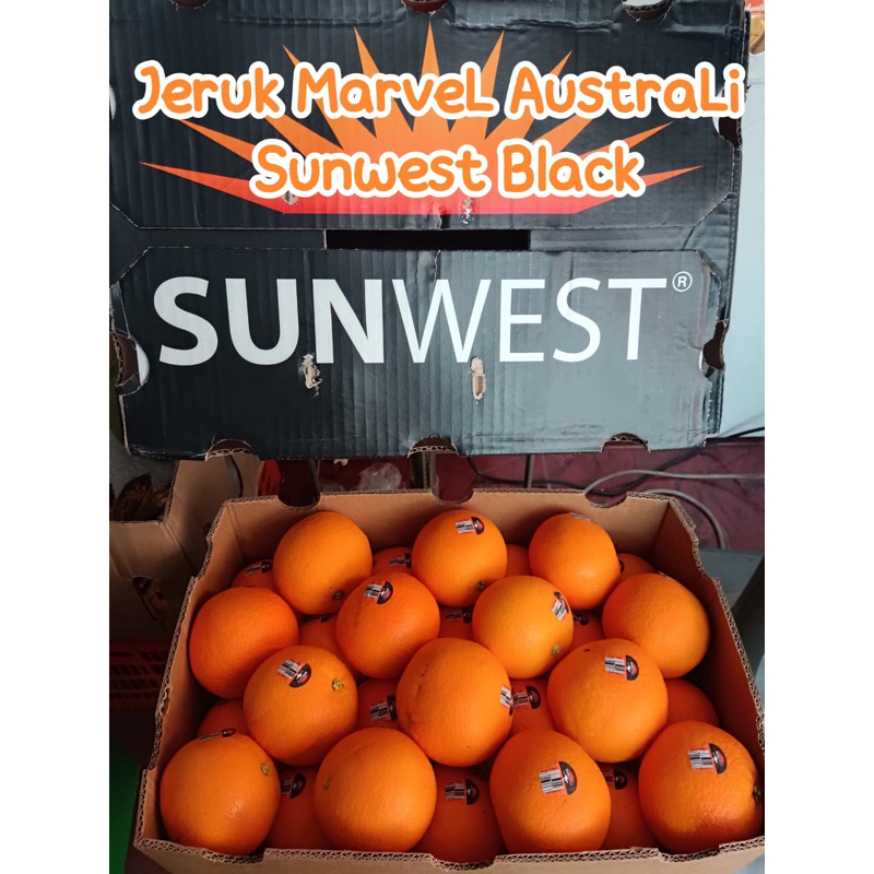 

Jeruk Navel Australia Sunwest Black Size 56 / kg