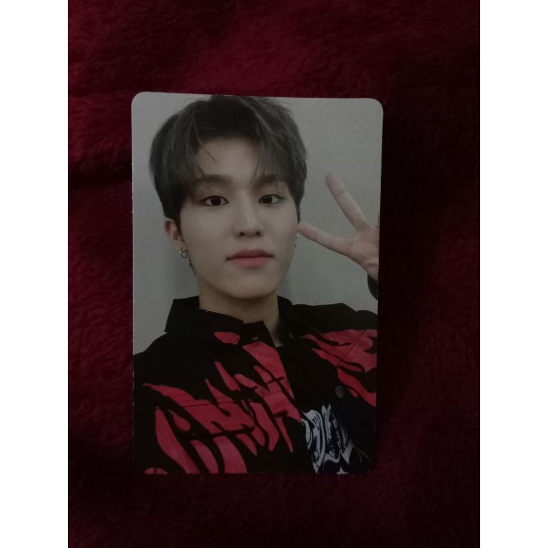 PC Official Jeongwoo Treasure