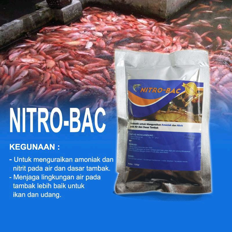 Probiotik Nitrobacter/nitrobacter/probiotik koi/nitrobacter probiotic