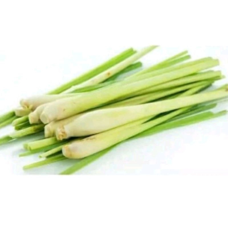 

Daun sereh/lemongras 1 ikat