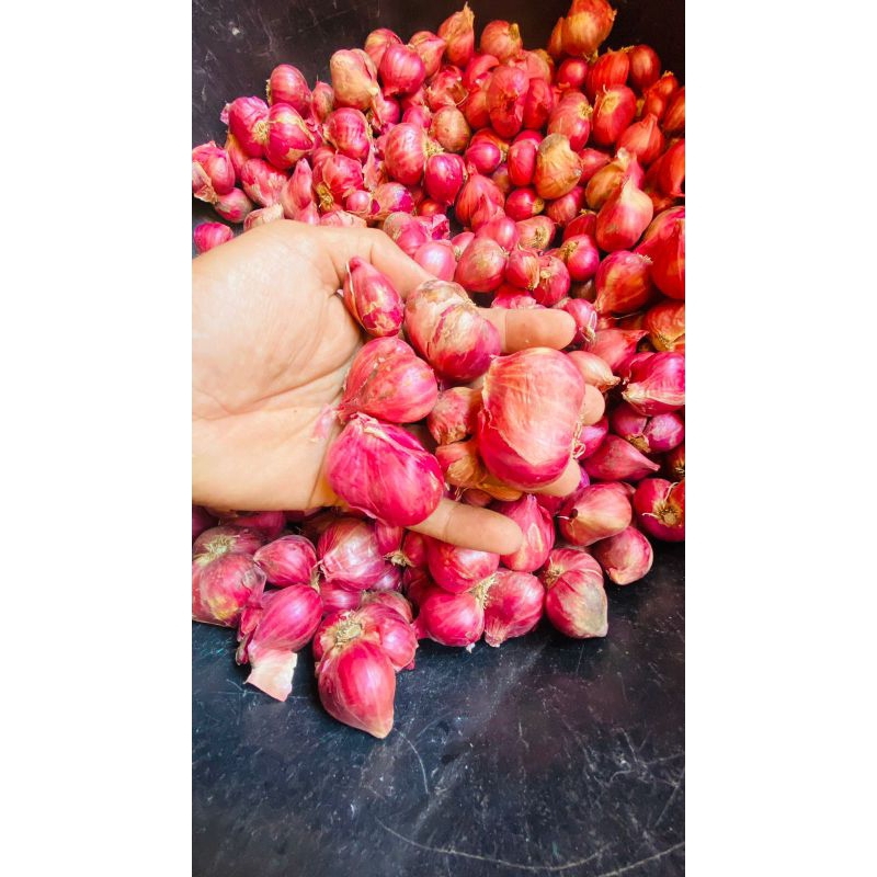 

Bawang Merah Probolinggo, Superr