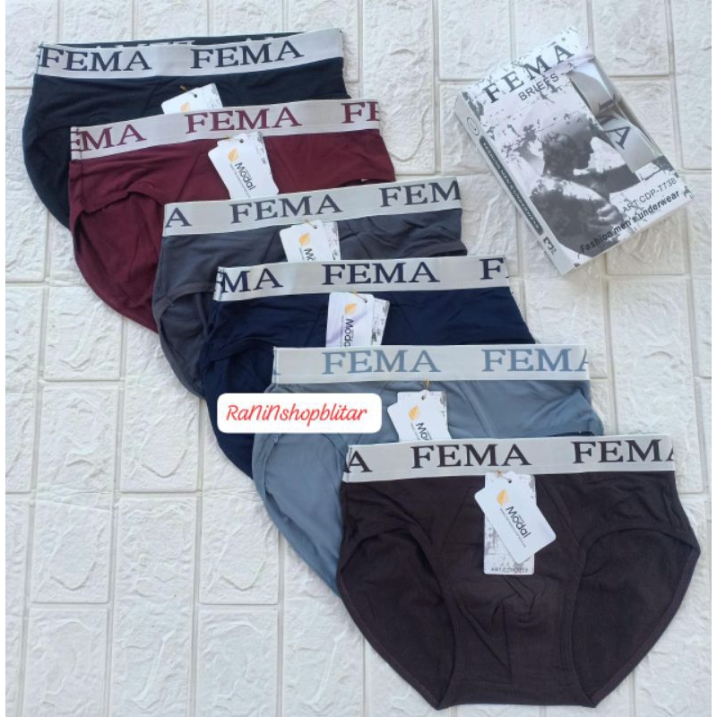 6 Pcs CD Celana Dalam Pria Dewasa Fema 7738 Segitiga