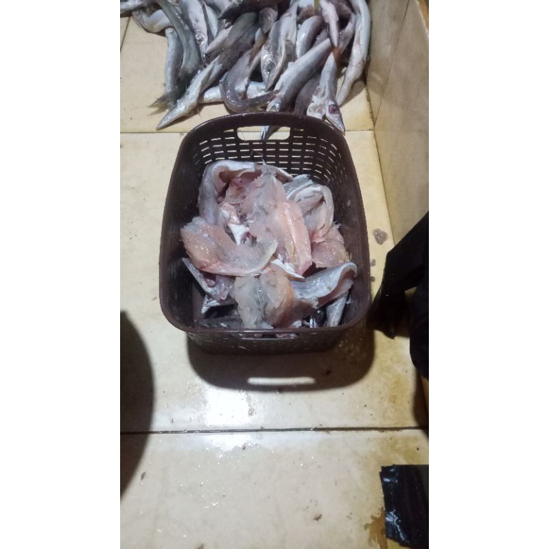 

IKAN GILING BUAT ISIAN