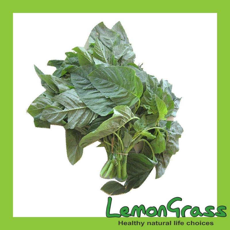 

Sayur Bayam Segar 1 ikat Kirim Instan