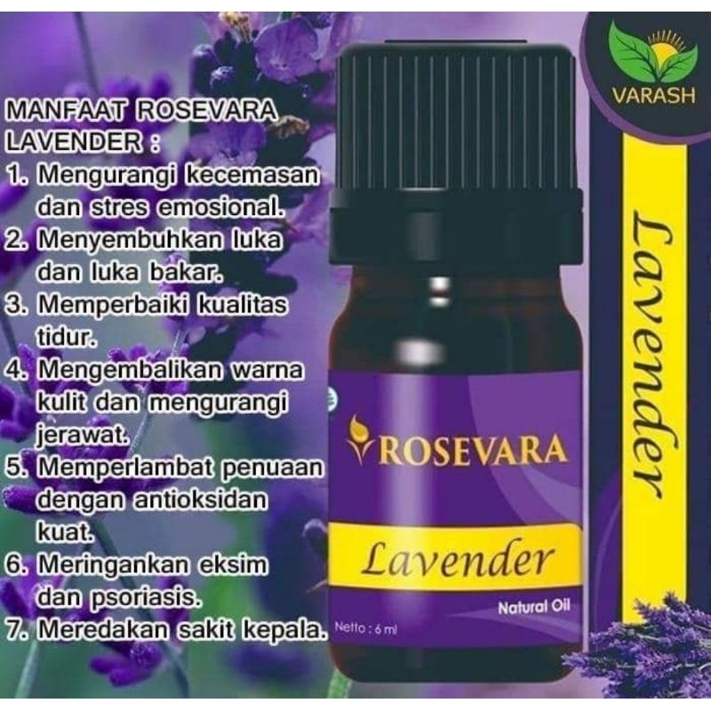 Rosevara Lavender Essentials Oil (Minyak Lavender)