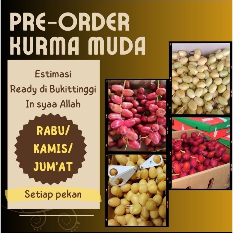

KURMA MUDA 1kg || KUNING BARHI / SIWI MERAH ZAGHLUL ZAGLUL/ ERBY ERBI 1 kg|KURMUD PROMIL