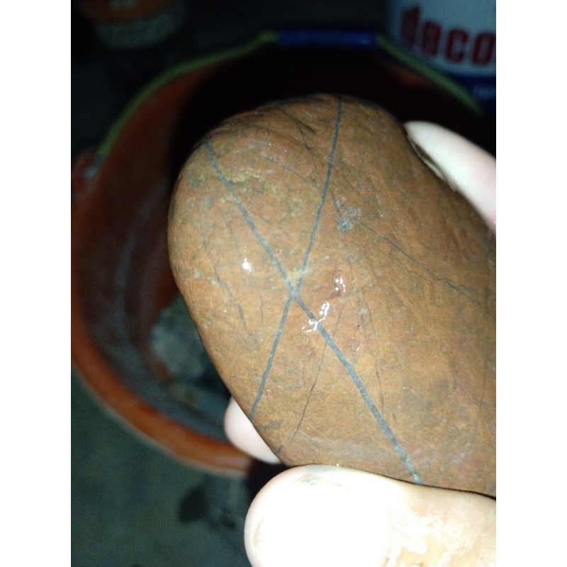 rough batu tapak jalak srigunting