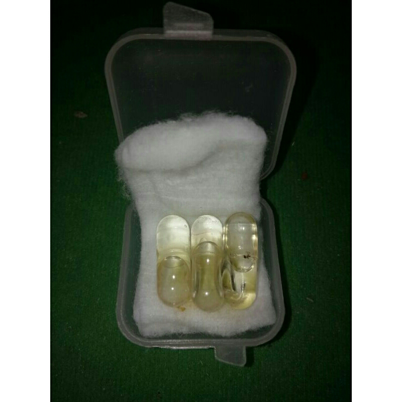 PIL JP ( Jagat Pamungkas ) Kosongan