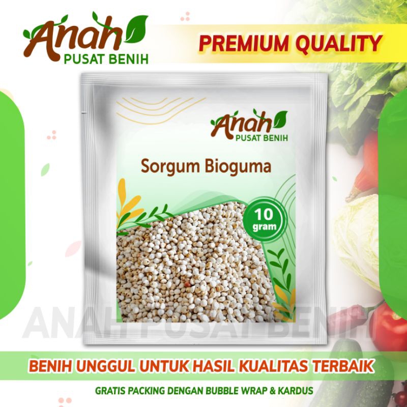 Benih sorgum bioguma air nira batang manis 10 gram / Bibit pakan ternak / Biji sorgum bioguma
