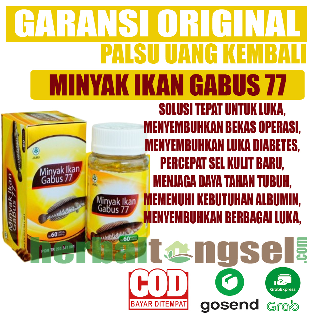 Kapsul Minyak Ikan Gabus 77 Minyak Ikan Gabus Asli Minyak Ikan Gabus Pasca Operasi Kapsul Ikan Gabus