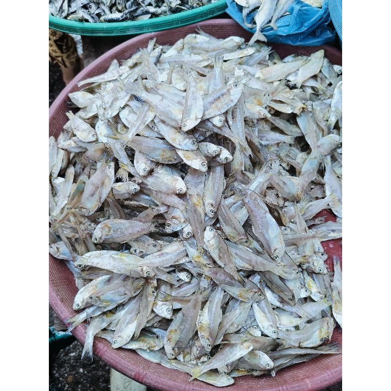 

ikan asin pakang 250 gram