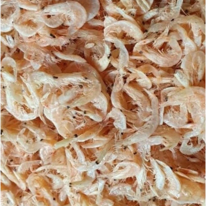 

GROSIR rebon 100gr/ rebon 1 ons