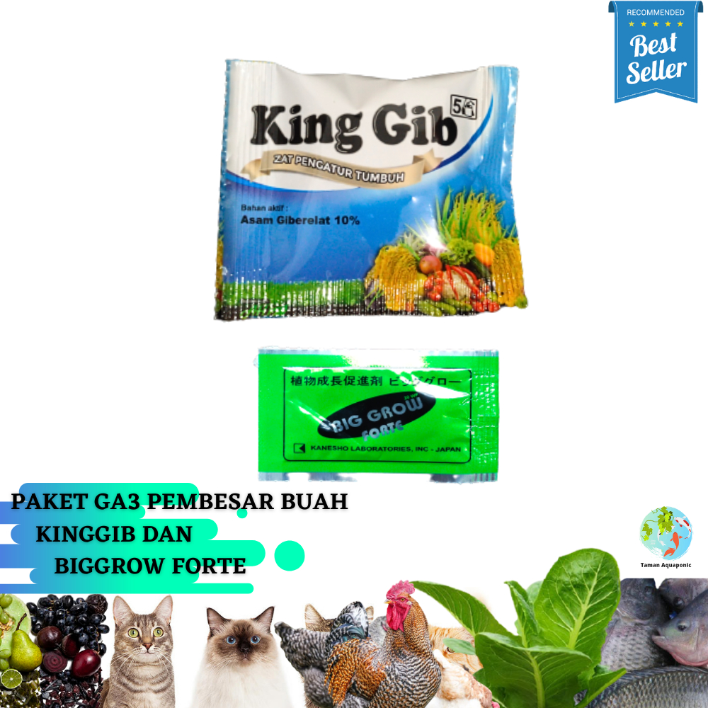 RB Paket GA3 King Gib dan BigGrow Forte Pembesar Buah