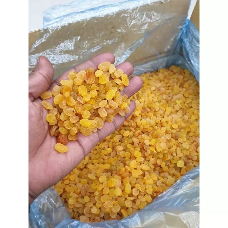 

Kismis Anggur Simin Manis 1 Kg Oleh Oleh Haji dan Umroh