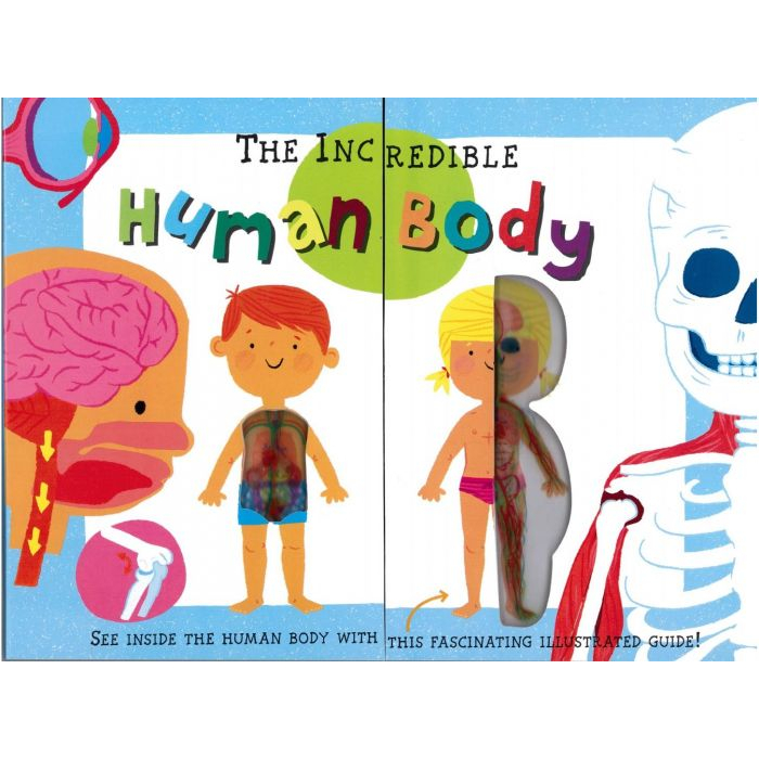 The Incredible Human Body - My First Human Body Book