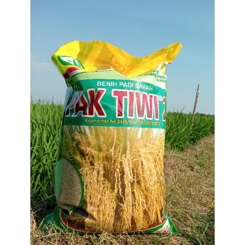 Benih Padi Pertiwi Pak Tiwi 2 kemasan 5kg