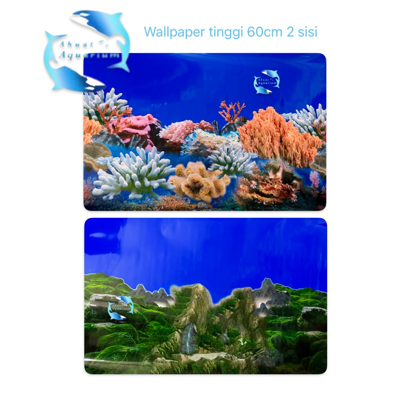WALLPAPER AQUARIUM 3D CORAL UKURAN 60CM PERCM 2 GAMBAR DALAM 1 WALLPAPER BACKGROUND AQUARIUM