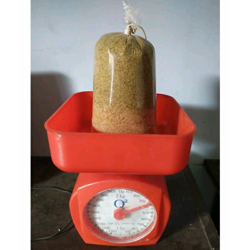 Umpan Galatama Lele Kotoran Ulat Hongkong