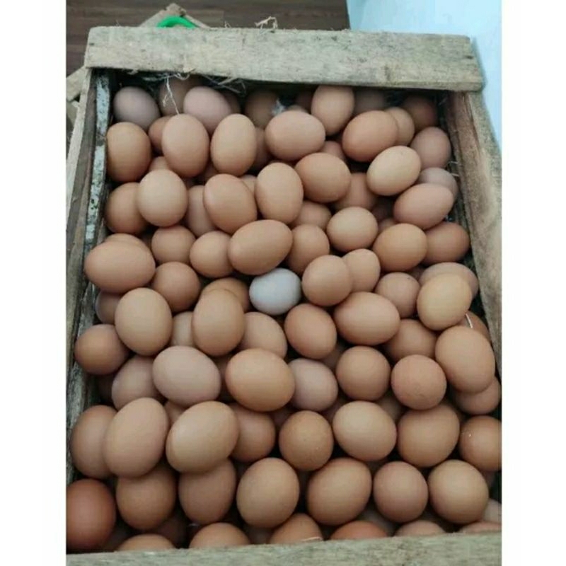 

TELUR AYAM FRESH (HARGA PER KG + SETENGAH KG)