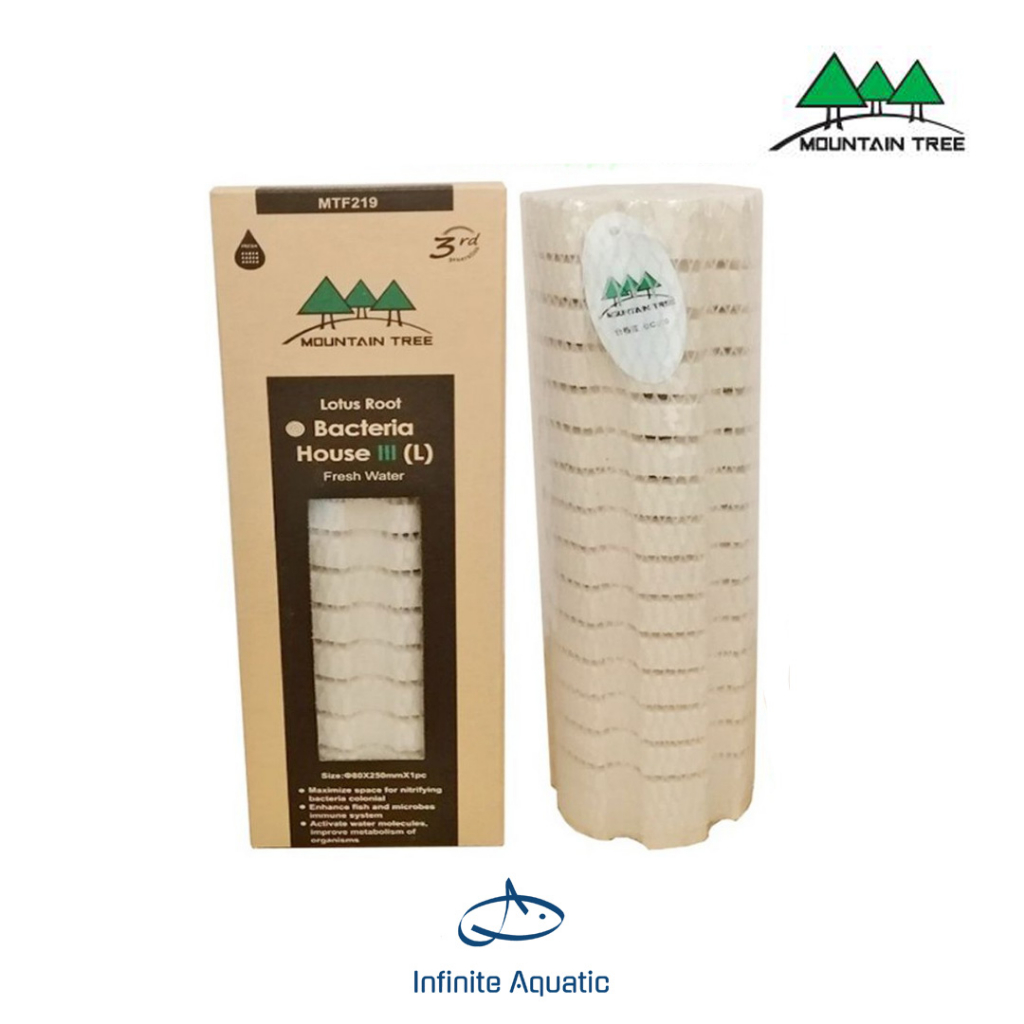 Mountain Tree Lotus Root Bacteria House III Size L Rumah Bakteri Media