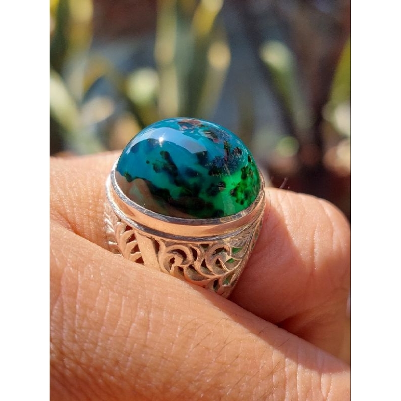Bacan Coklat Merah