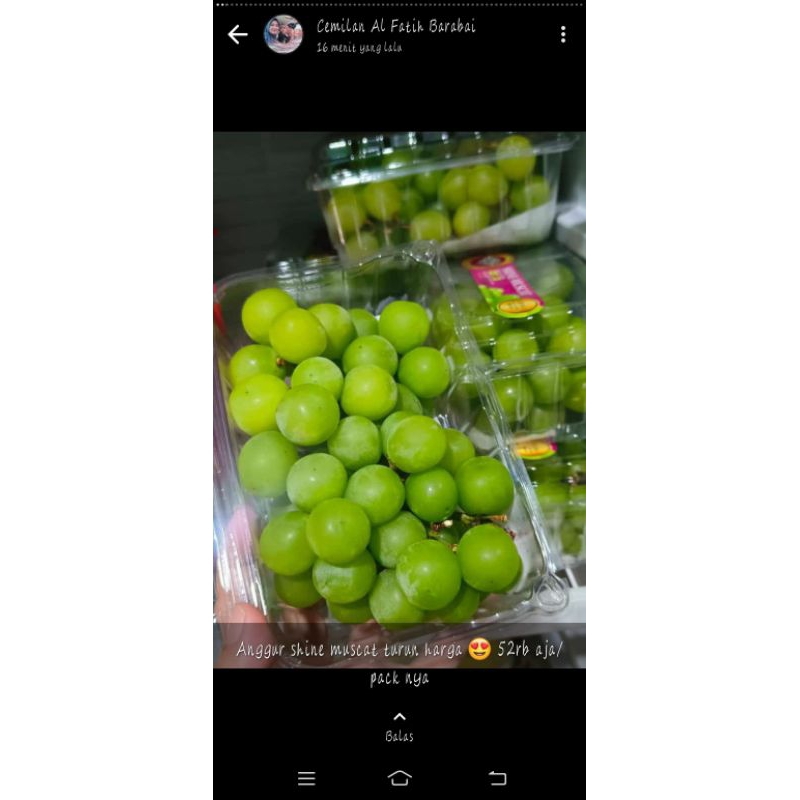 

anggur muscat kekinian manis