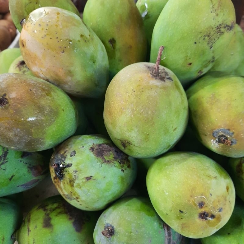 

mangga gadung / harum manis 1kg