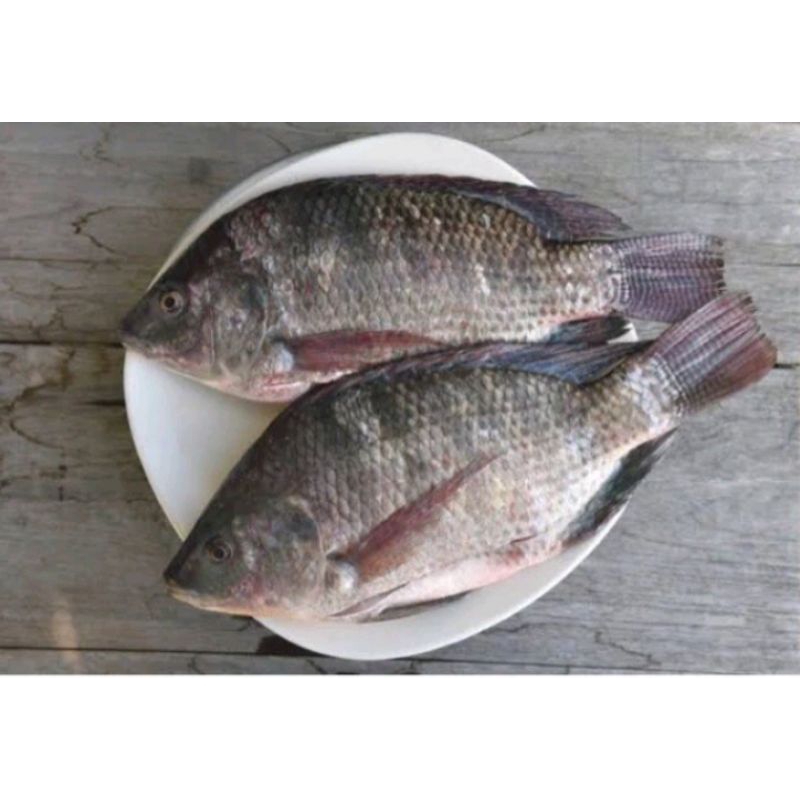 

INSTAN Ikan Nila Segar 1 Kg