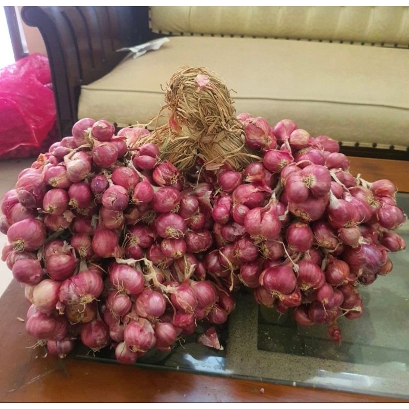 

bawang merah brebes pabuaran mekar cibinong