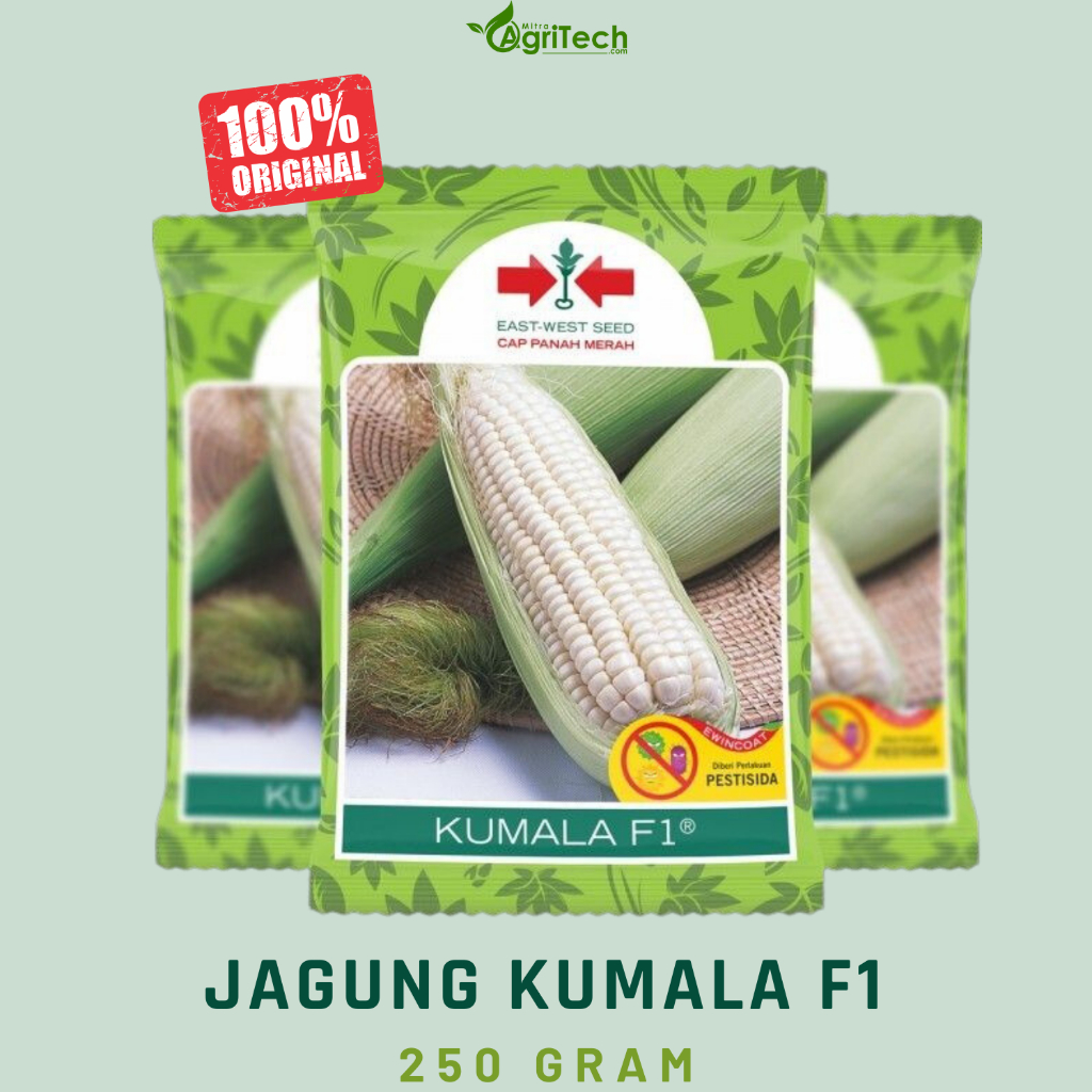 

JAGUNG PULUT PUTIH KUMALA F1 ISI 250 GRAM - CAP PANAH MERAH