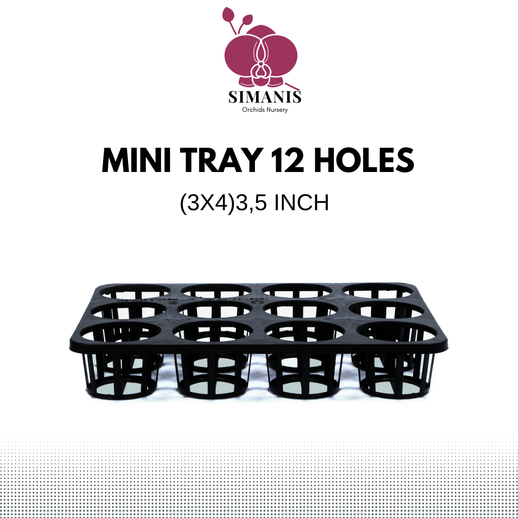 MINI TRAY/POT TRAY/TRAY SEMAI 12 HOLES ( 3 X 4) 3,5