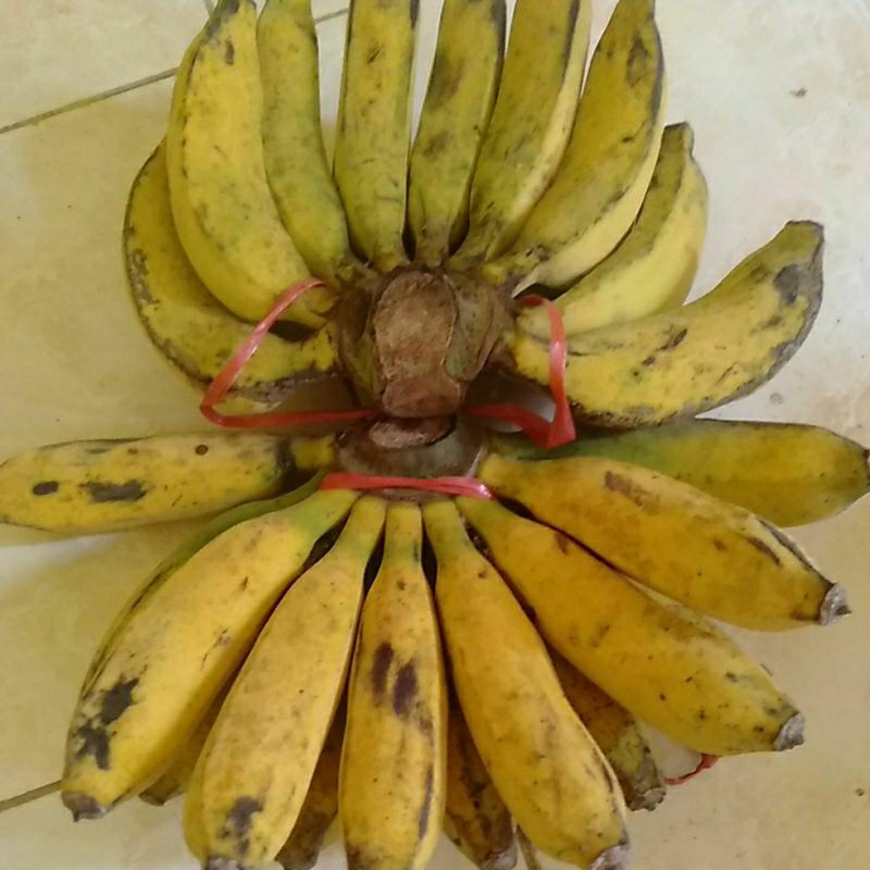 

BUAH PISANG RAJA ROJO BARANGAN 1 sisir enak