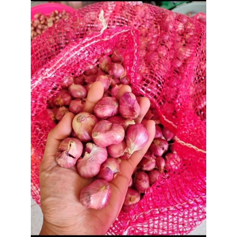 

bawang merah 1kg