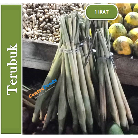 

Terubuk - Kembang Tebu Fresh | 10 Batang [ Harga Per IKAT ]