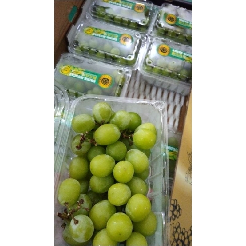 

Anggur Shine Muscat Pack/500 gr