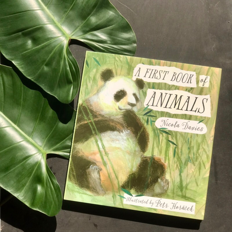 A First Book of Animals Author: Nicola Davies, Petr Horáček [Hardback]