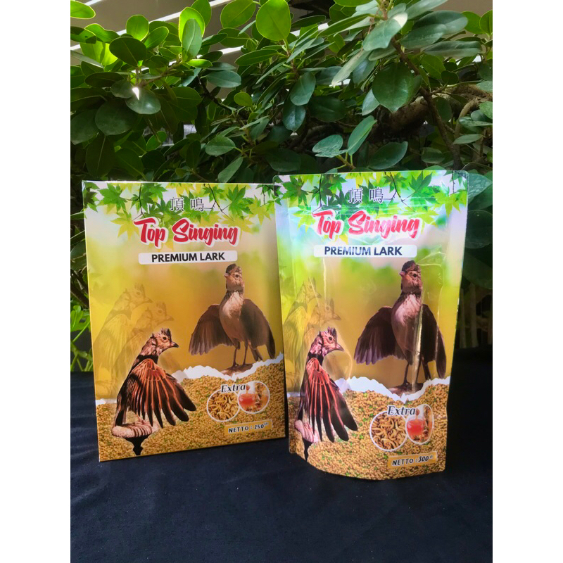 TOP SINGING PREMIUM LARK EXTRA JBF