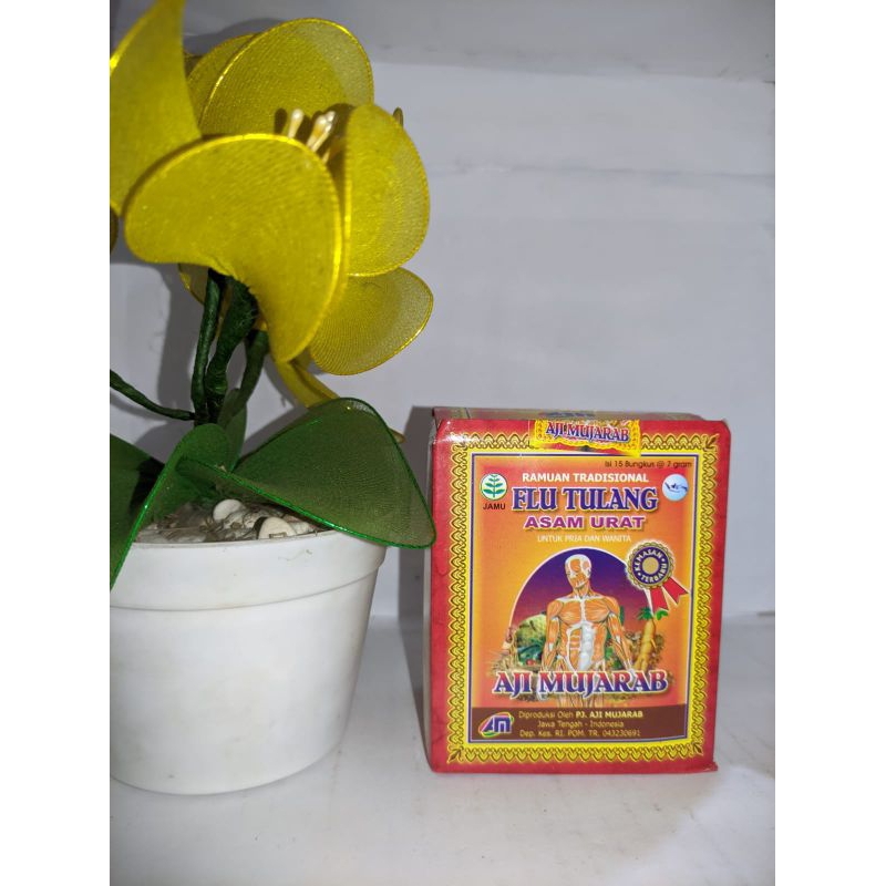 Asam Urat Flu tulang Aji mujarab