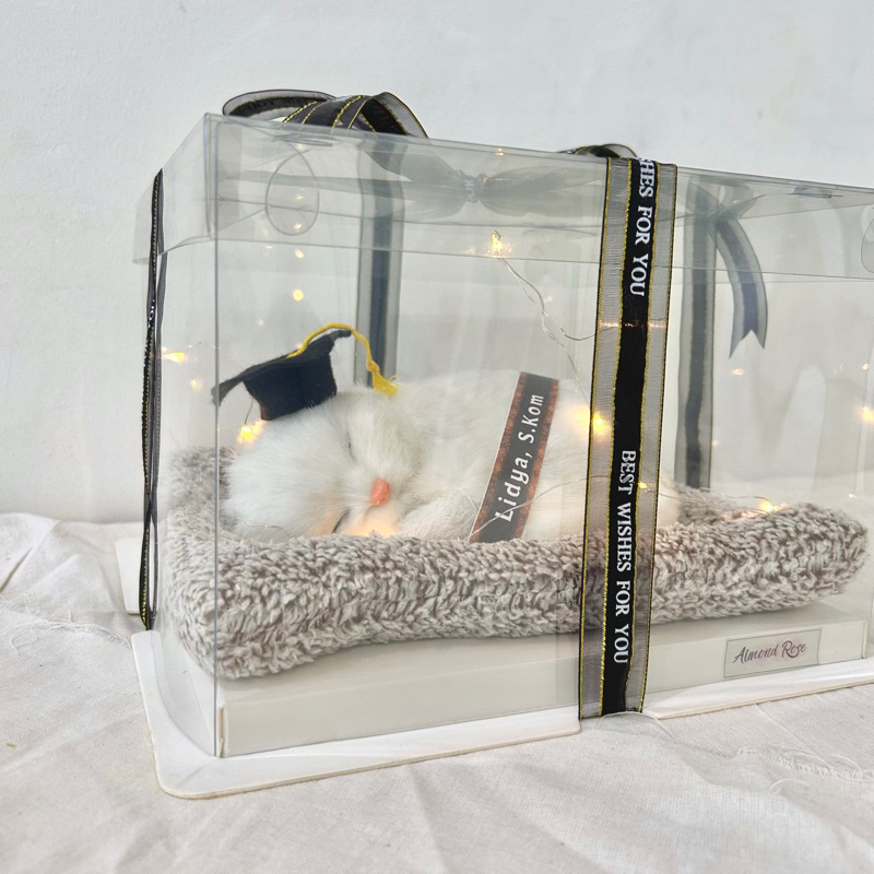 HADIAH WISUDA - buket wisuda kado cewe pacar hadiah boneka kucing ultah gift anniversary birthday