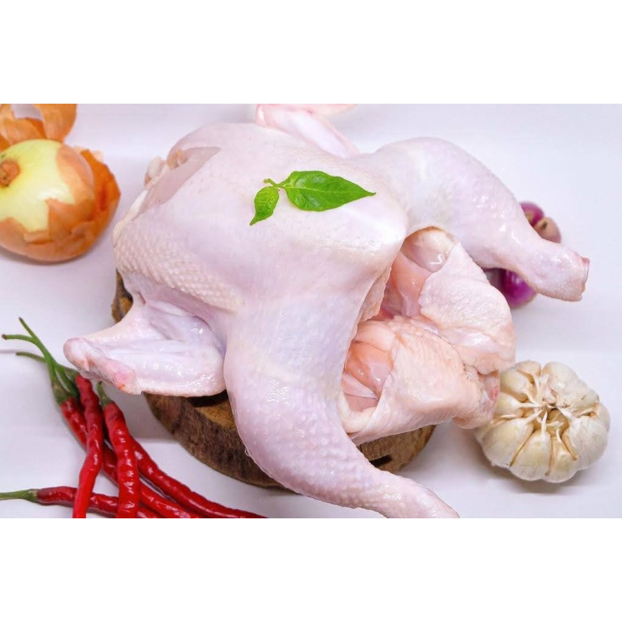 

Ayam Broiler 1,3 kg - 1,4 kg